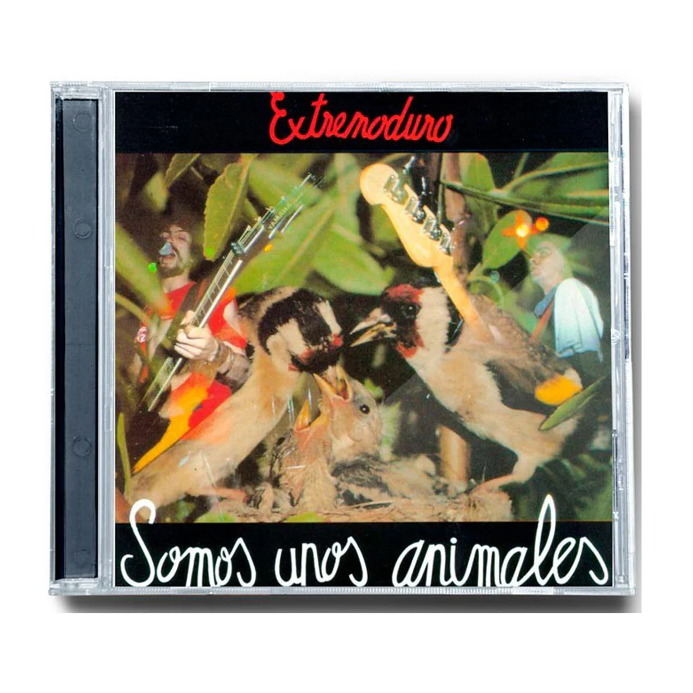 Miniatura 1